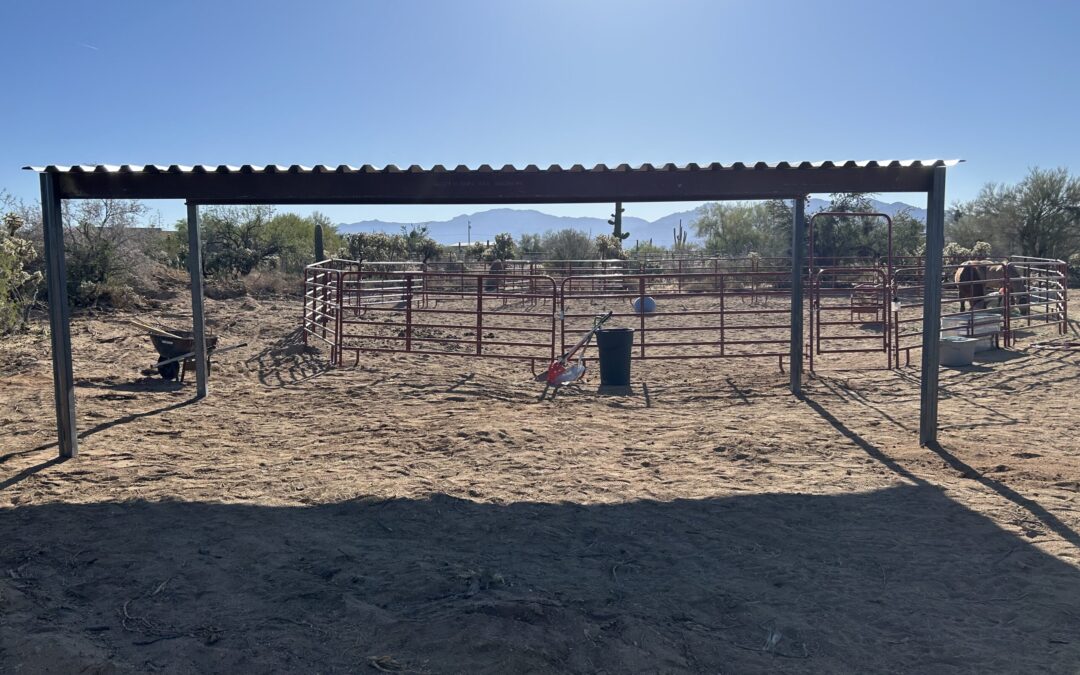 Custom fabrication (horse shelter) – Eloy, May 2026